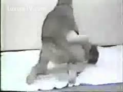 An ancient BBC slut with passion is featured in this classic beast sex tape.